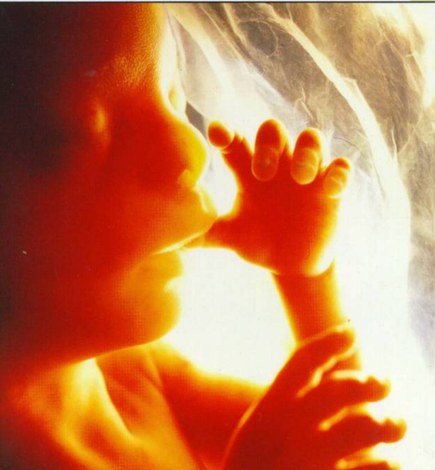 a brave new world birth outside of the womb